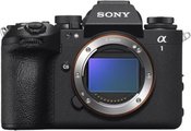 Sony Alpha A1 II body